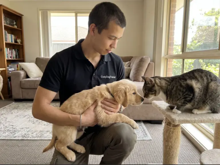 How To Introduce Young Puppies To Resident Adult Cats